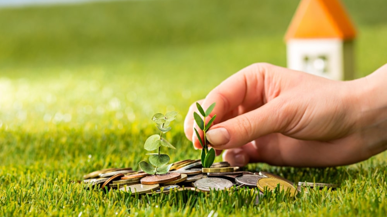 Financial Success: The image depicts a glass jar filled with coins, placed in green grass, symbolizing the growth of wealth and financial success